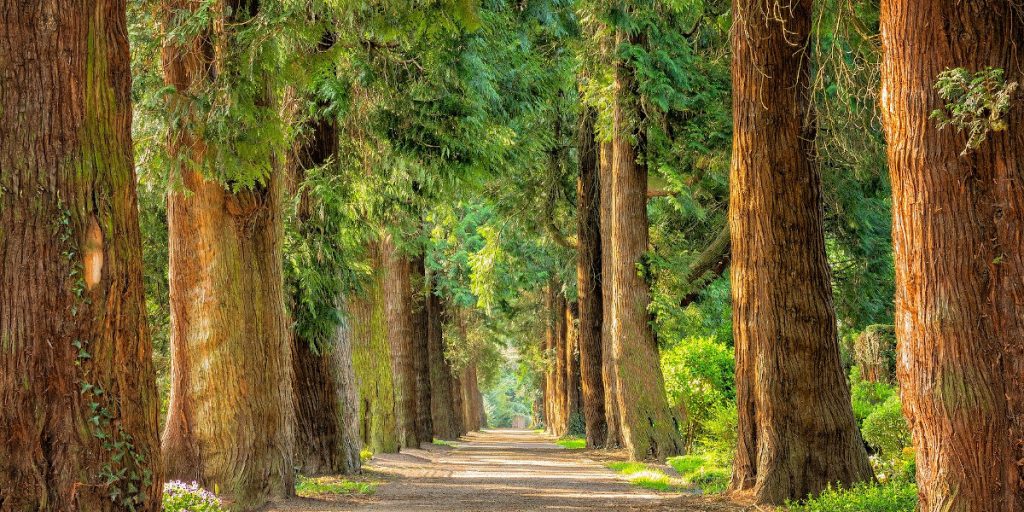 Sustainable lifestyle