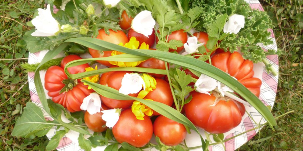 Whole fresh food course